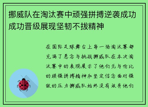 挪威队在淘汰赛中顽强拼搏逆袭成功成功晋级展现坚韧不拔精神