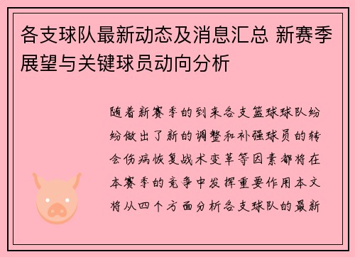 各支球队最新动态及消息汇总 新赛季展望与关键球员动向分析